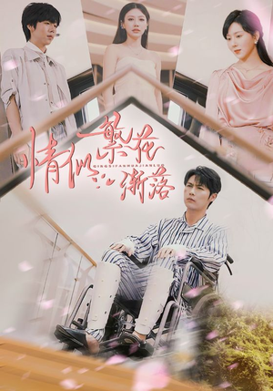 情似繁花渐落（62集）一键在线观看全集短剧