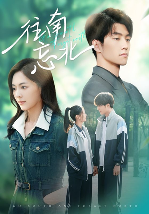 往南忘北（73集）热门小说改编短剧