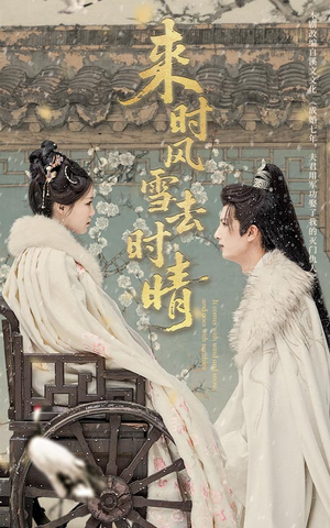 来时风雪去时晴（51集）热门短剧又来了