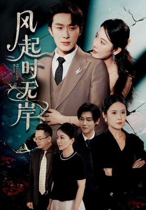 风起时无岸（58集）好看的短剧一定要分享