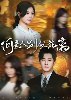 何意人别似花离（61集）排行榜前十短剧免费看