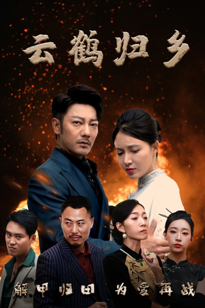 云鹤归乡（65集）好看短剧每天更新