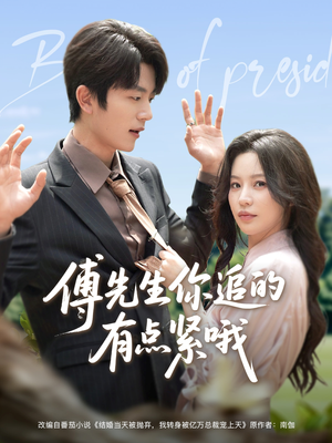 傅先生你追的有点紧哦（95集）短剧全集高清无码版