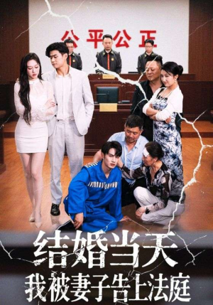 结婚当天我被妻子告上法庭（30集）西瓜短剧免费看