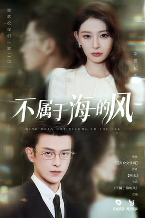 不属于海的风（40集）超好看的短剧一起追剧