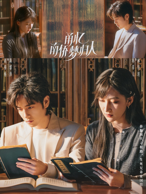 甬忆南侨梦归人（18集）短剧越看越精彩