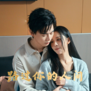 路过你的人间（31集）全集短剧免费完整版在线观看