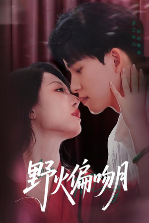 野火偏吻月（51集）短剧完整版免费