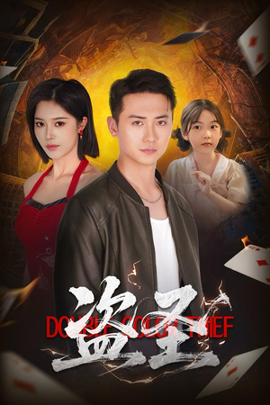 盗圣（63）追风的女孩短剧