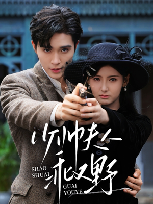 少帅夫人乖又野（84集）短剧追到爽全集完整版