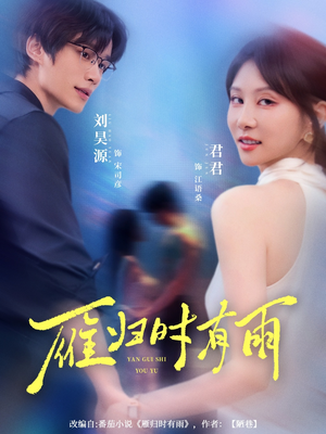 雁归时有雨（84集）番茄小说免费看短剧