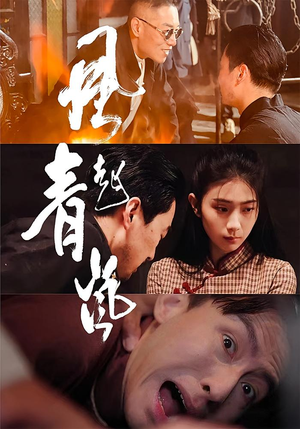 风起青岚（96集）热门短剧电影推荐