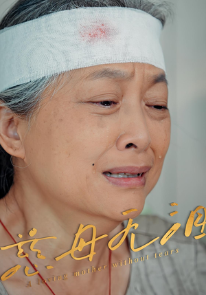 慈母无泪（30集）全网短剧抢先看