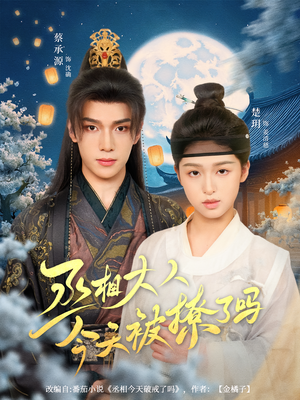 丞相大人今天被撩了吗（80集）红果短剧全集免费看