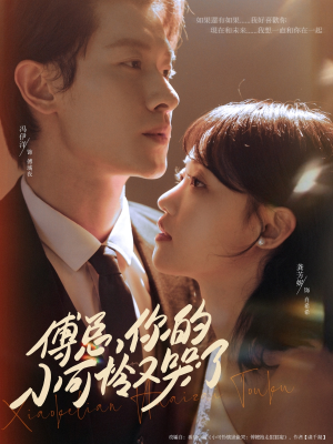 傅总你的小可怜又哭了（80集）热播短剧推荐点击抢先看全集