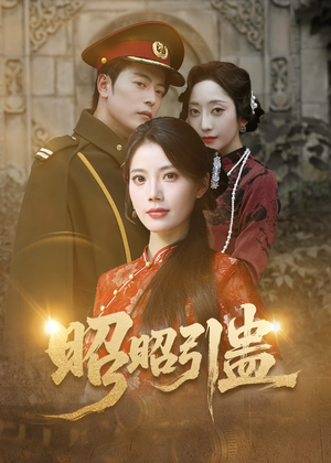 昭昭引蛊（42集）全能主妇热播短剧抢先看大结局