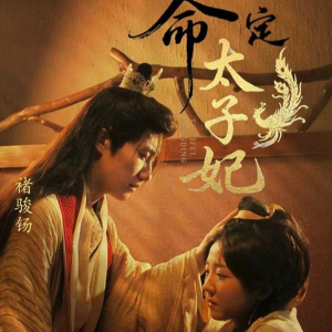 命定太子妃（63集）红果短剧全集免费看
