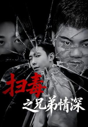 扫毒之兄弟情深（50集）精彩的短剧又来了