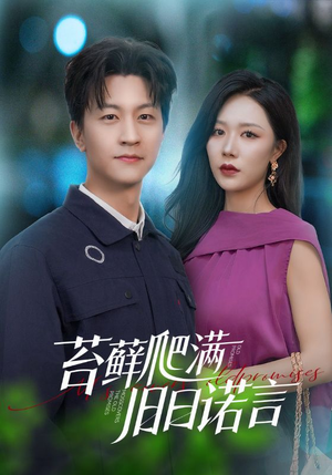 情途难负（83集）终于可以免费看短剧了