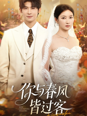 你与春风皆过客（66集）好看的小短剧推荐