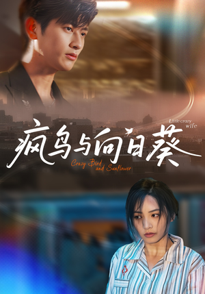 疯鸟与向日葵（40集）一段短剧看完整部剧