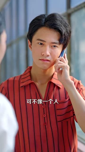 重返2000（88集）一个短剧看全集