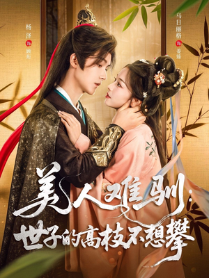 美人难驯世子的高枝不想攀（81集）热门短剧推荐古装