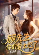 顾先生你的爱太迟了（60集）一毛不花追完短剧