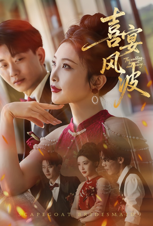 喜宴风波（30集）在线观看全集的热门短剧推荐