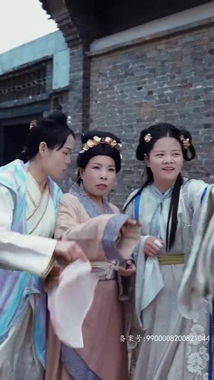 权宠刁妃（17集）短剧大结局完美收官