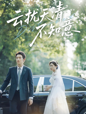 云扰天清不知意（60集）一口气免费看完这部短剧