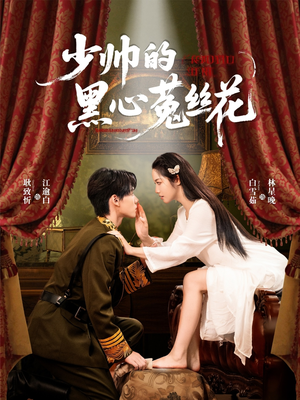 少帅的黑心菟丝花（60集）精彩免费短剧观看全集