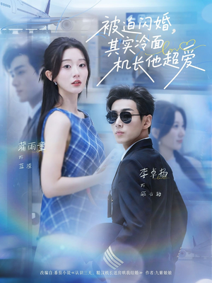 被迫闪婚其实冷面机长他超爱（77集）最新短剧抢先看全集