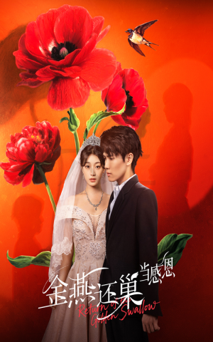 金燕还巢当感恩（55集）热门短剧推荐网站