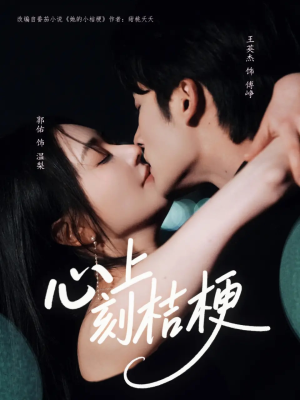 心上刻桔梗（90集）推荐短剧一口气要看完