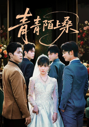 青青陌上桑（70集）好看的短剧同大家分享