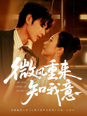 微风重来知我意（62集）好看的短剧电影