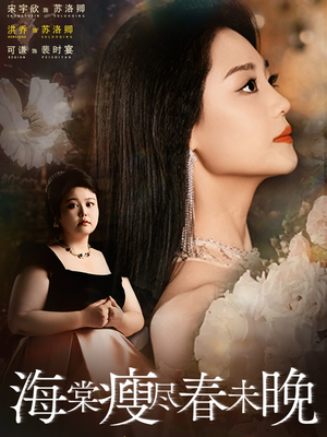 海棠瘦尽春未晚（62集）短剧在哪个平台播放