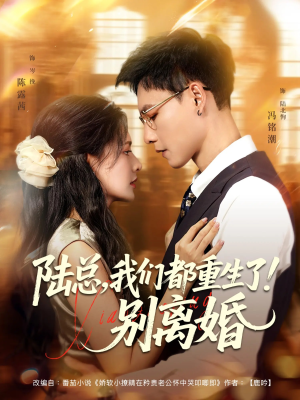 陆总我们都重生了别离婚（79集）短剧女演员排行榜