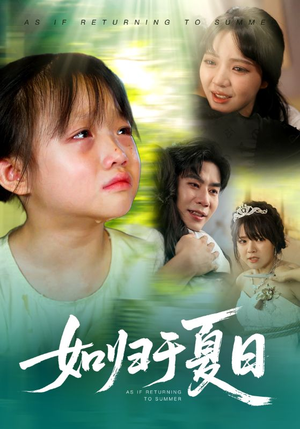 如归于夏日（65集）短剧热播全集免费追