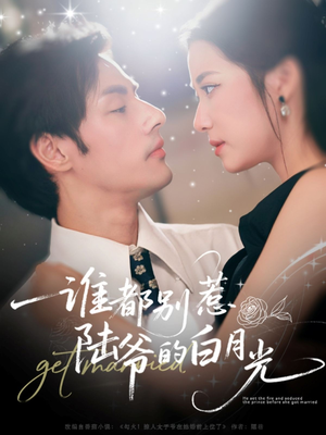 谁都别惹陆爷的白月光（79集）短剧熬夜也想看完的短剧