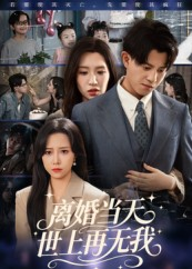 离婚当天世上再无我（60集）百亿好看短剧推荐
