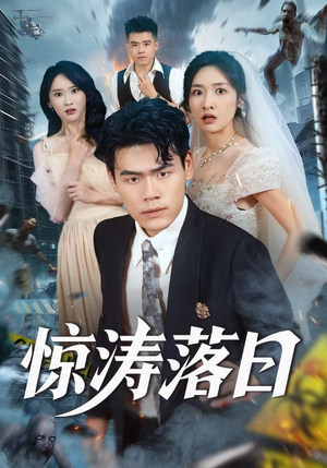 惊涛落日（60集）全部免费看短剧网站