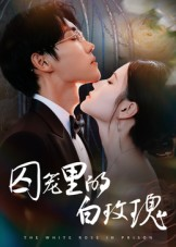 囚笼里的白玫瑰（59集）高分推荐短剧免费看