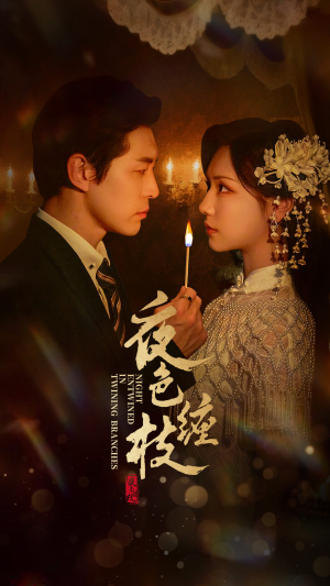 夜色缠枝百度HE版本（62集）红果短剧免费全集看