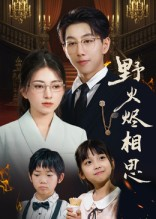 野火烬相思（61集）短剧越看越精彩越看越上头