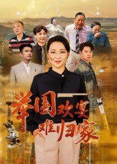 举国欢宴难归家（40集）左下角看全集精彩短剧