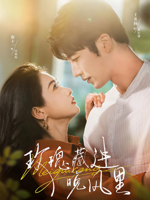 玫瑰藏进晚风里（68集）短剧全集高清完整版