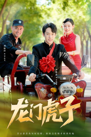 龙门虎子（72集）热播短剧追不停