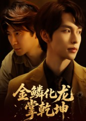 金lin化龙掌乾坤（54集）全集短剧我都看完了